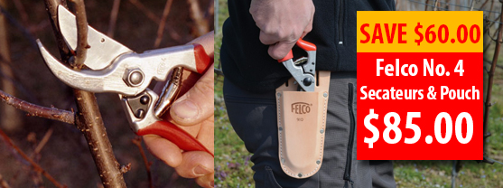 Felco 4 secateurs plus leather pouch $85.00 (Normally $145.00)