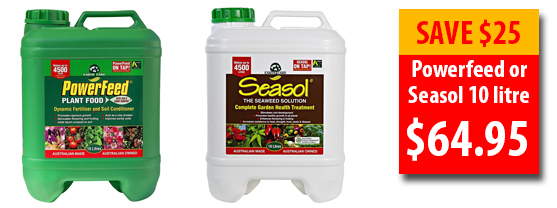 10 litre Seasol or Powerfeed $64.95 (Normally $89.95)