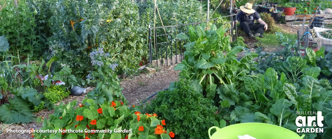 Photo © Northcote Organic Community Garden