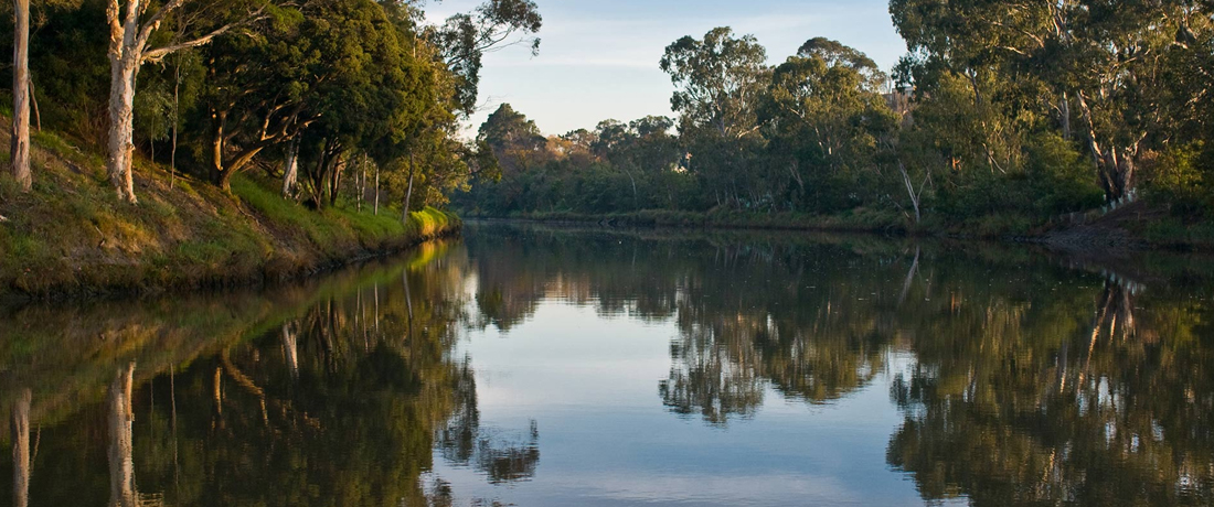 Yarra River Photo from Parks Victoria website
