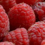 1100raspberries