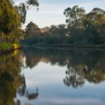 Protecting the Yarra – how you can get involved